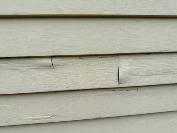 Professional Siding Services in Riverdale Park, MD